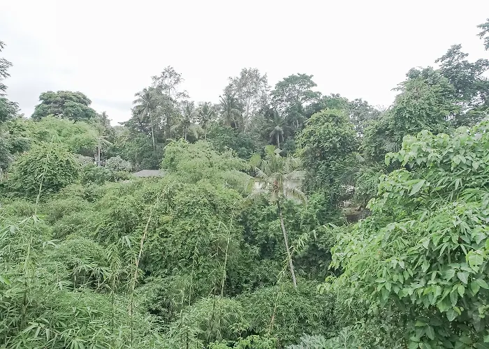 Giri Krisna Guest house 3*